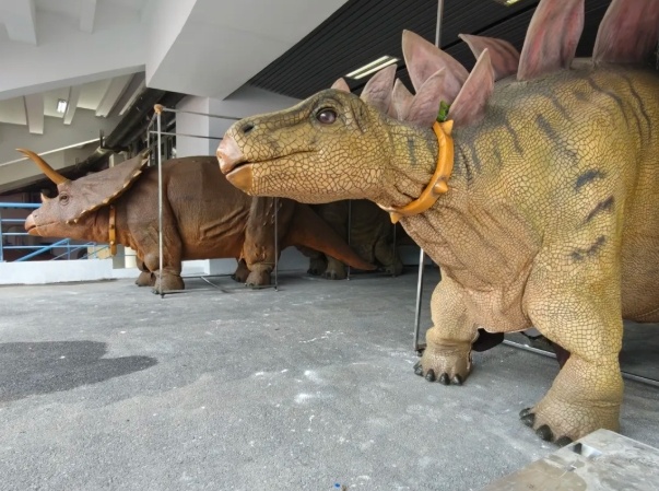 震撼应援20余只仿真恐龙将出动，为苏超常州队呐喊助威！